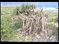 OUVEA visite à l'océan