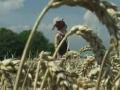 levellers-far-from-home.htm