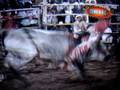 Nino Garibay en problemas¡¡¡