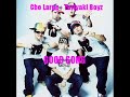Cho Large - Teriyaki Boyz