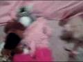 Webkinz Wedding (funny) (home made)