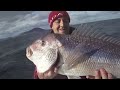 A pesca col vivo