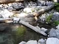 07.23.06 Stanley Hot Springs in Idaho Clip 04