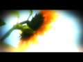 白朝夢 勝手にPV