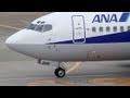 コックピット風景：ANA WINGS B737-500(JA306K) SPOT IN～OUT @HANEDA