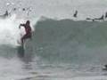 BRETT SIMPSON, NATE YEOMANS, TED NAVARRO AND MANY MORE