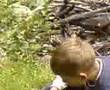 Sporty extremalne View Video