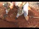 videos de METAL DETECTING CIVIL WAR RELIC TIME SEARCHERS DIV IX PART 3