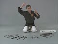 Sai History and Selection Sai History and Selection