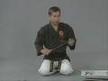 Sai History and Selection