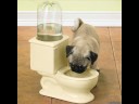 funny pics part 29