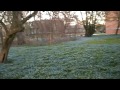 Bot. Garten Karlsruhe mit Scilla-Wiesen