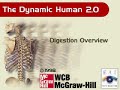 Digestion