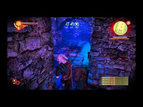 The Witcher 2 : Assassins of Kings