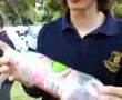 videos de Sculling 600ml of crap