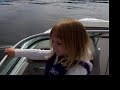 Porpoises! Porpoises!