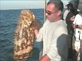 Huge Jewfish Huge Jewfish