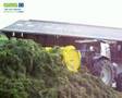 Remorque ensileuse et épandeur ensilage sur silo herbe