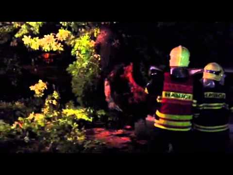 Youtube Video ffkMH3kkTu0