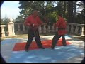 Senior Grandmaster Rick Alemany Presents sparring II