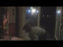 Alien Haunting