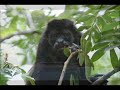 Oliver Ames International Travel Study trip to Costa Rica