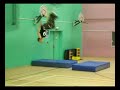 Jurassic Jumpers - Birthday Meet - 27th Jan Bournemouth