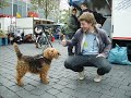 ChristenUnie Nijmegen