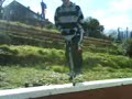 Ricey Ona Pogo Stik