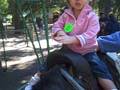 videos de Emma's First Pony Ride