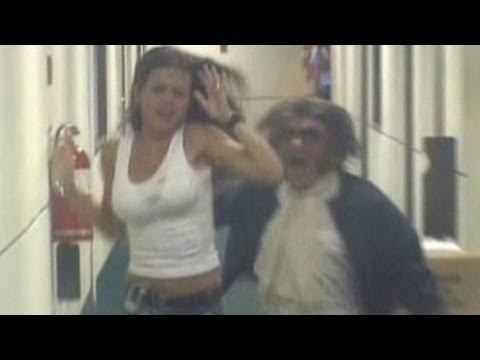 las and hot girls