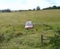 OFF ROADING INA MG NO.1
