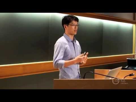 The Social Brain and Autism – Yongsoo Kim, Ph.D.