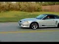 giddy_up_my_ass Mustang video