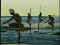 steve mccurry photojournalism photography national geographic visual literacy