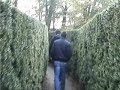 Gita sul Brenta degli Amici del Dino
