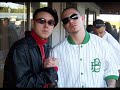Pitbull Vs Cuban Link