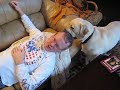 Make another appointment with Beau dog for clean hair Make another appointment with Beau dog for clean hair