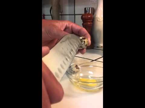 how to open quail eggs