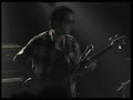 the numerics LIVE \"solid\"