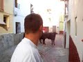 dentro de una casa dentro de una casa