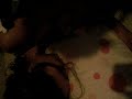 tay getting whip creamed, [part one]