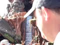 splash mountain in magic kingdom