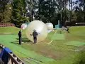 Zorbing in NZ