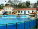 The dolphins show at Lisbon Zoo