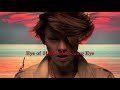 La Roux video analysis