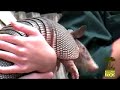 Wildlife Theater