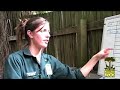 wildlife theater