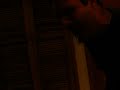 うたう犬動画