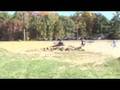latrobe speedway pitbikes